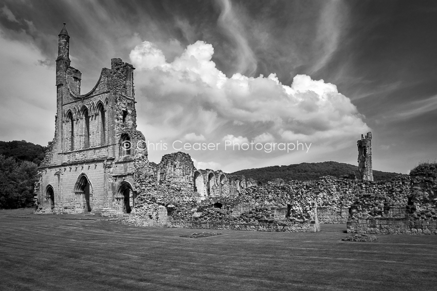 Byland Abbey, Monochrome