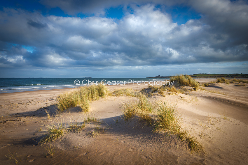 Ross Sands To Bamburgh