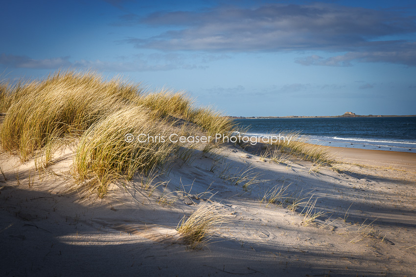 The Dune, Ross Sands